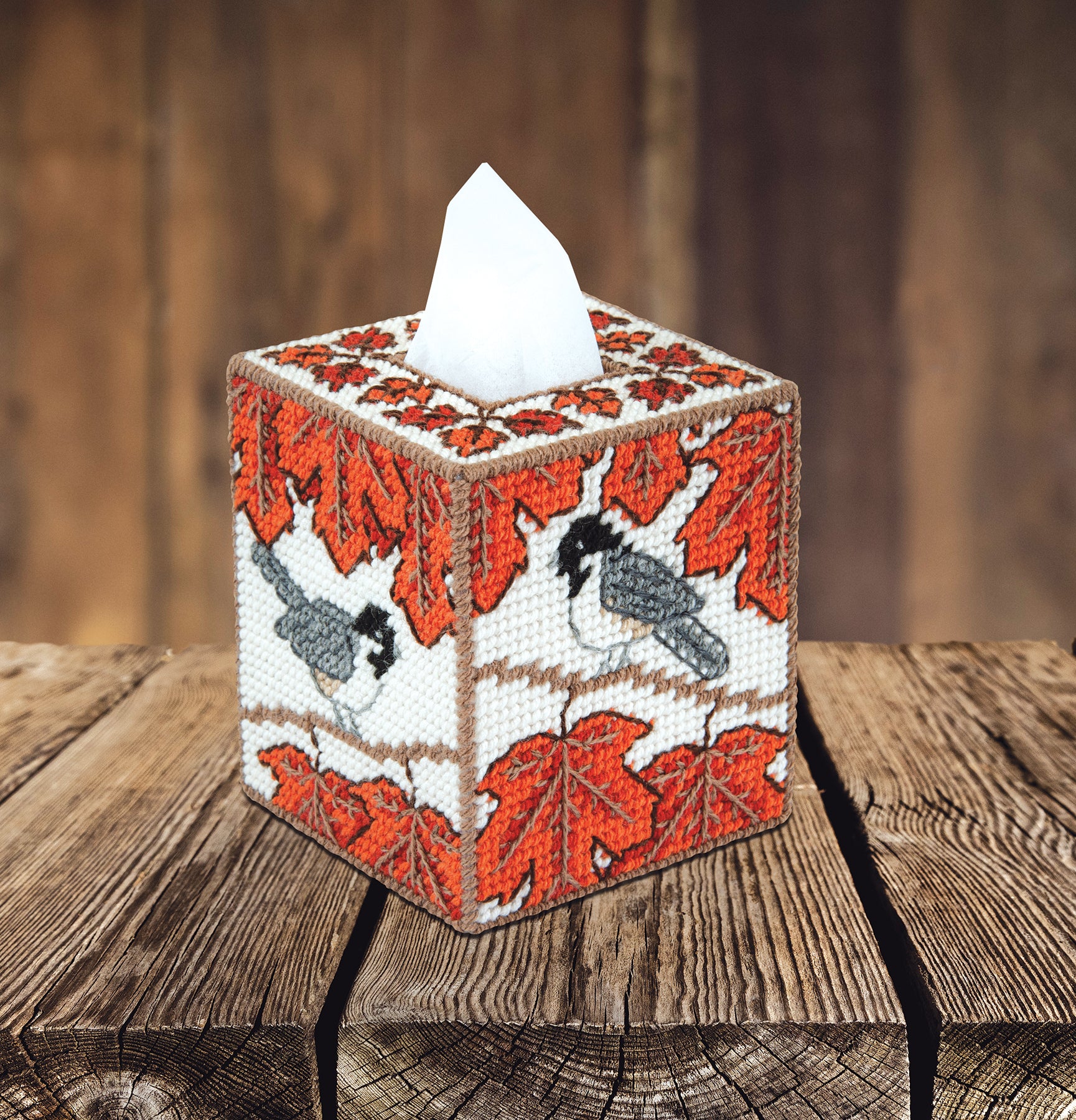 Barnaby The Bat Plastic Canvas Tissue Box Cover Kit  Plastic canvas tissue  boxes, Tissue box covers, Plastic canvas