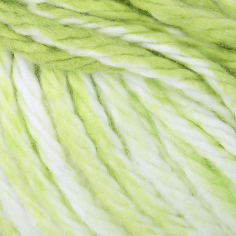 Lily Sugar'n Cream Yarn