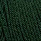 Bernat Super Value Yarn