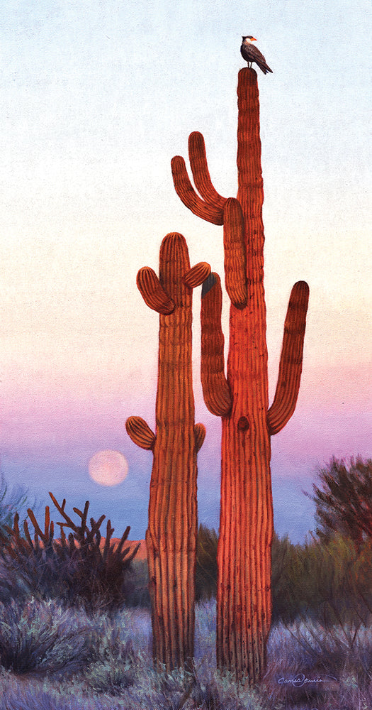 Desert Lookout Jigsaw Puzzle