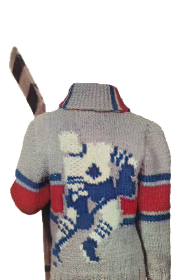 Modèle de cardigan de hockey