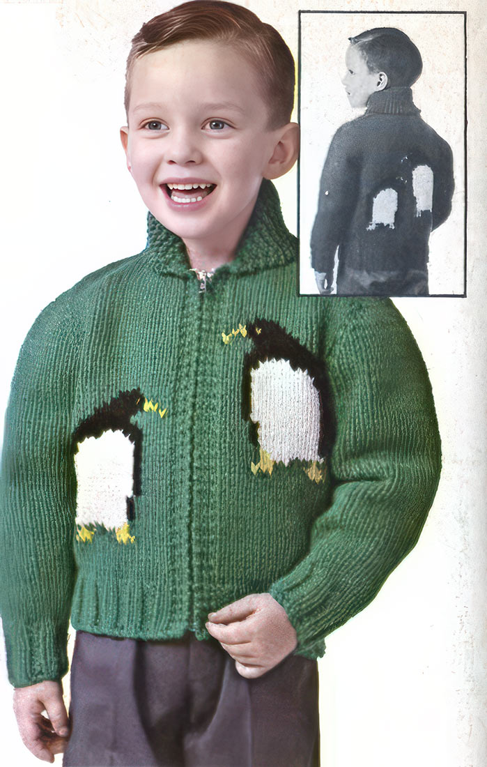 Modèle de pull pingouins