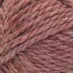 Lion Brand Basic Stitch Anti-Microbial Thick & Quick Yarn