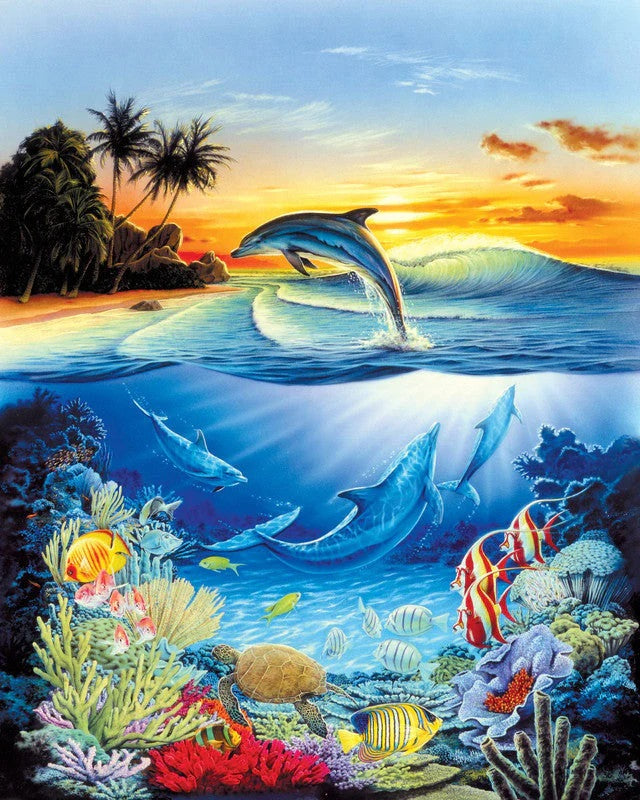 Dolphin Lagoon Paint By Number Kit