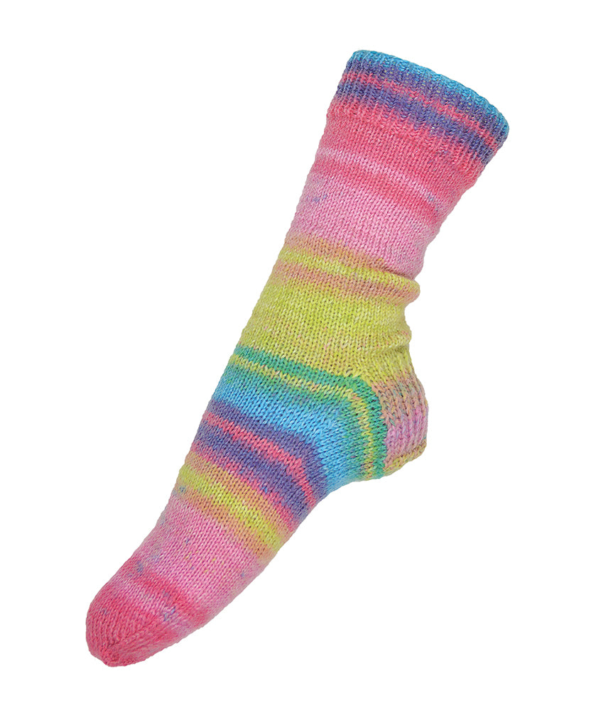 Free Evolution Socks Pattern