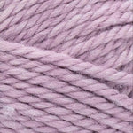 Lion Brand Basic Stitch Anti-Microbial Thick & Quick Yarn