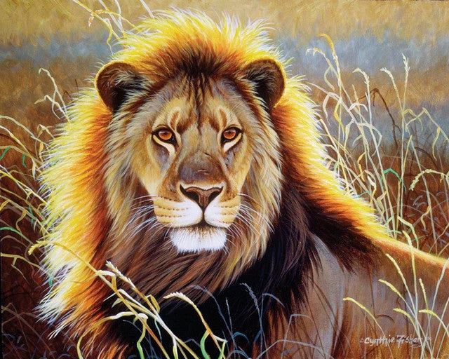 Lion Savanna Paint By Number Kit