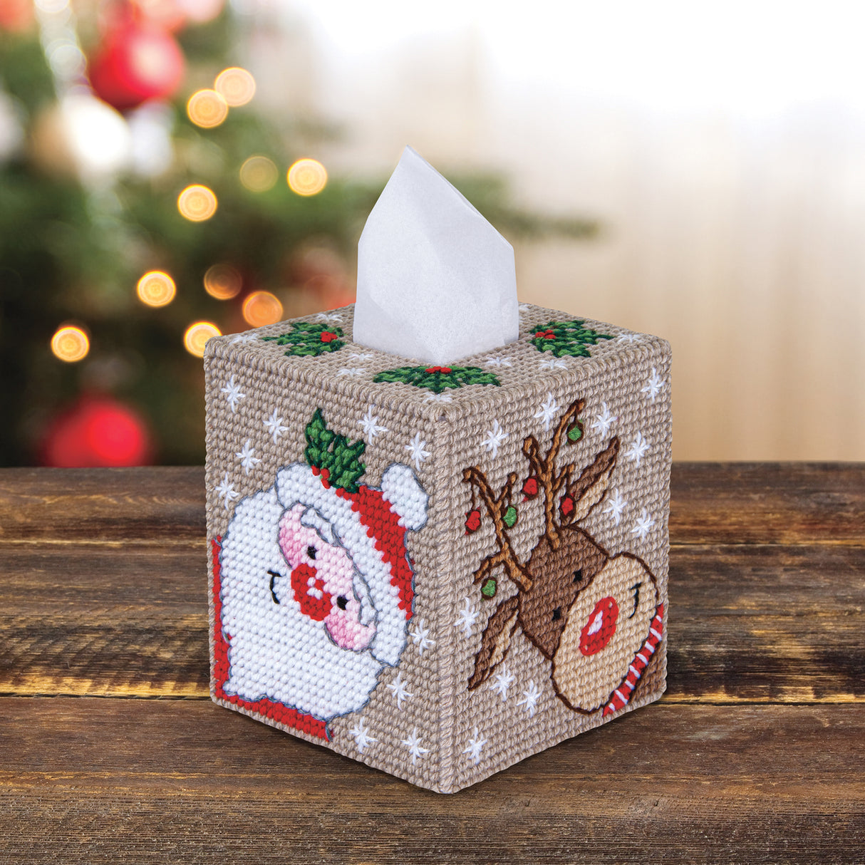 Festive Friends Plastic Canvas Tissue Box Cover Kit