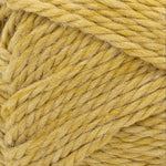 Lion Brand Basic Stitch Anti-Microbial Yarn