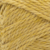 Lion Brand Basic Stitch Anti-Microbial Thick & Quick Yarn