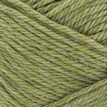 Lion Brand Basic Stitch Anti-Microbial Yarn