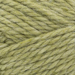 Lion Brand Basic Stitch Anti-Microbial Thick & Quick Yarn