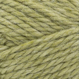 Lion Brand Basic Stitch Anti-Microbial Thick & Quick Yarn