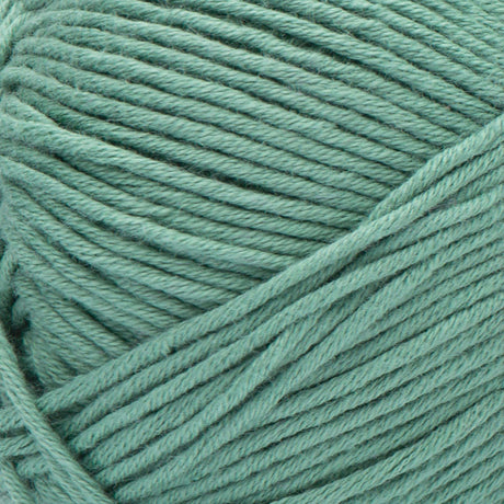 Bernat Softee Cotton Yarn