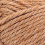 Lion Brand Basic Stitch Anti-Microbial Thick & Quick Yarn