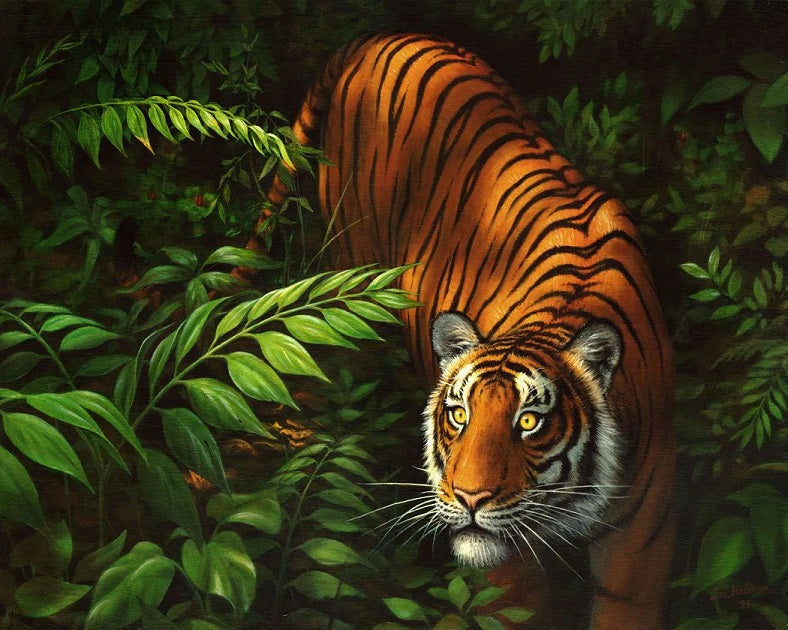 Tiger in Ferns Paint By Number Kit