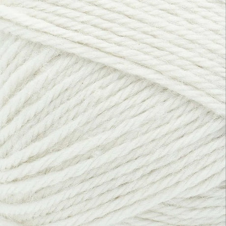 Lion Brand Basic Stitch Anti-Microbial Yarn