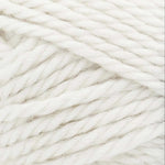 Lion Brand Basic Stitch Anti-Microbial Thick & Quick Yarn