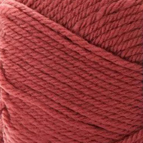 Premier Anti-Pilling Everyday Worsted Yarn