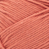 Lion Brand Local Grown Cotton Yarn