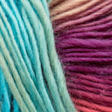 Mary Maxim Prism Yarn