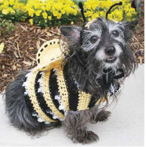 Free Dog s Bumble Bee Costume Crochet Pattern Mary Maxim Ltd