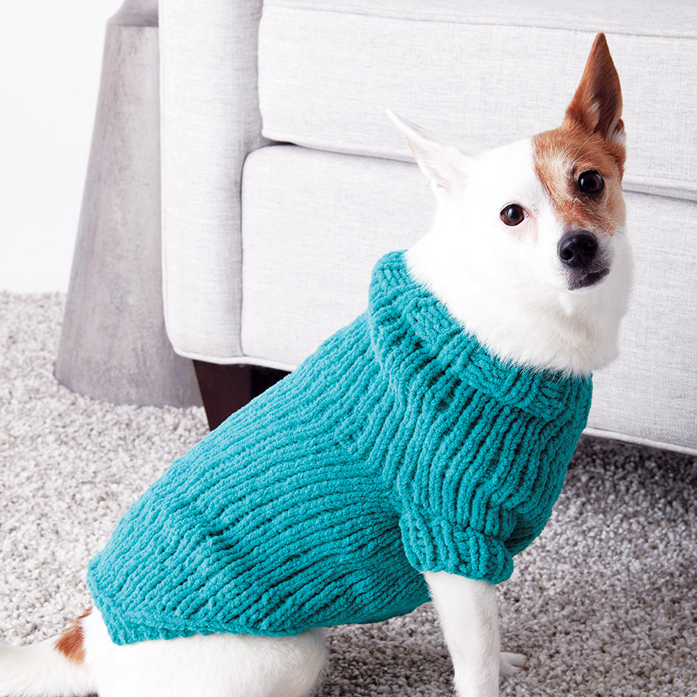 Free Knit Dog Pattern